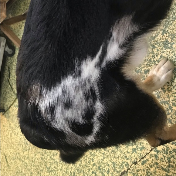 Meet your Posher, Beverly - Picture 5 of 16